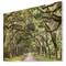 Designart - Live Oak Tunnel - Photography Print on Natural Pine Wood